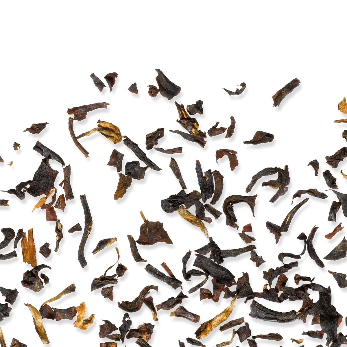 Assam Malty Cup – Bild 3